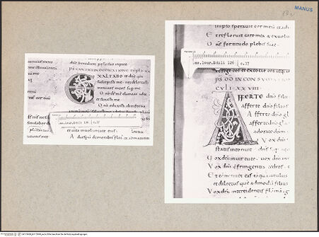 Vorderseite von bh115968_bh115969_recto