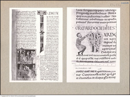 Vorderseite von bh115994_bh115995_recto