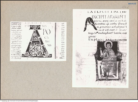 Vorderseite von bh116018_bh116019_recto