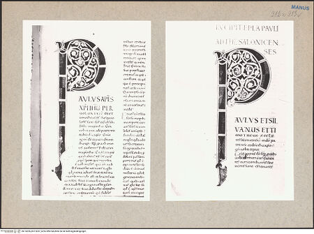 Vorderseite von bh116036_bh116037_recto