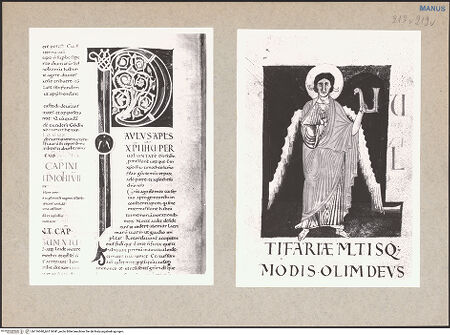 Vorderseite von bh116040_bh116041_recto