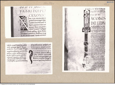 Vorderseite von bh116045_bh116046_bh116047_recto