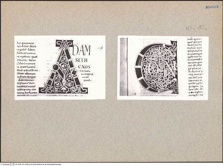 Vorderseite von bh116081_bh116082_recto