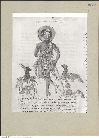 Vorderseite von bh116143_recto