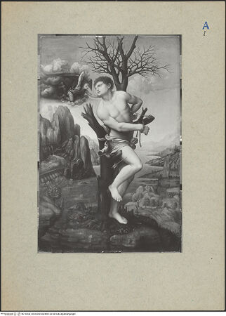 Vorderseite von bh116408_recto