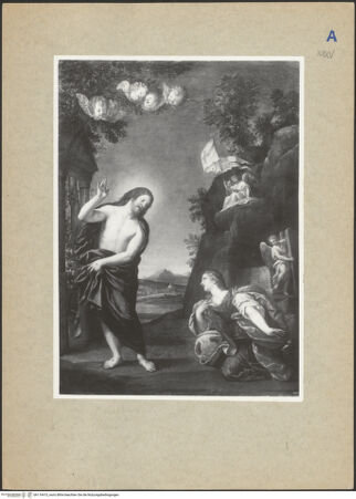 Vorderseite von bh116415_recto