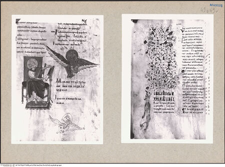 Vorderseite von bh116479_bh116480_recto