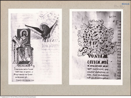 Vorderseite von bh116481_bh116482_recto