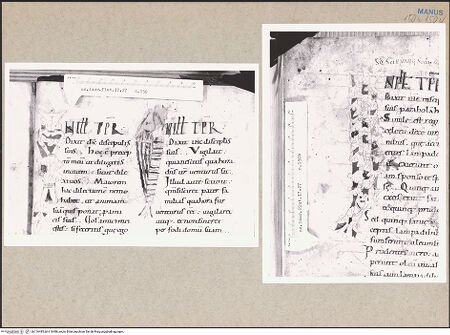 Vorderseite von bh116485_bh116486_recto