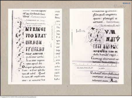 Vorderseite von bh116489_bh116490_recto