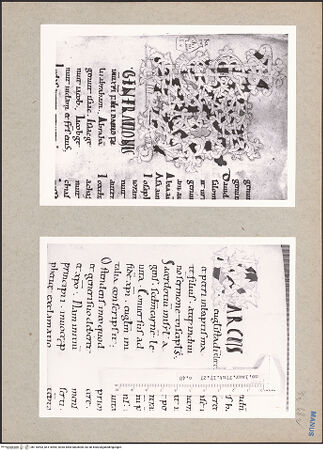 Vorderseite von bh116493_bh116494_recto