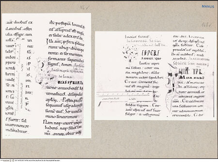 Vorderseite von bh116495_bh116496_recto