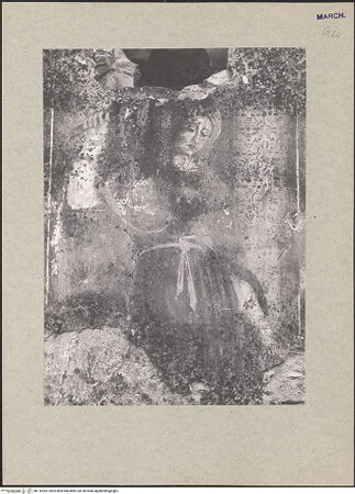 Vorderseite von bh116544_recto