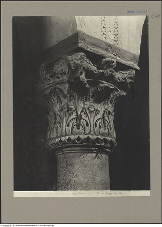 Vorderseite von bh116614_recto