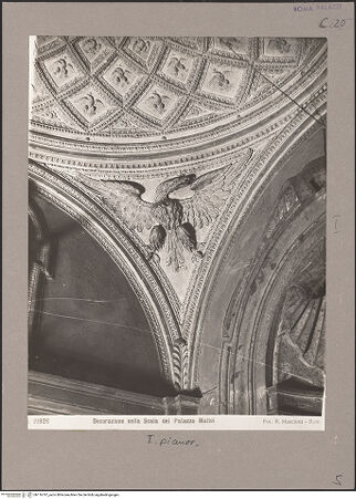 Vorderseite von bh116797_recto