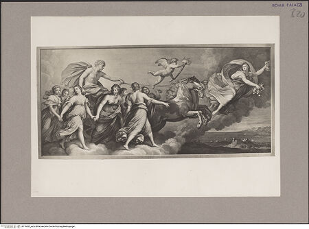 Vorderseite von bh116862_recto