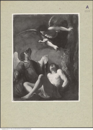 Vorderseite von bh116969_recto