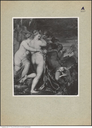 Vorderseite von bh117027_recto