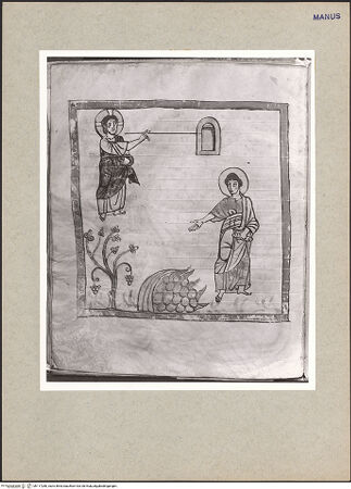 Vorderseite von bh117280_recto