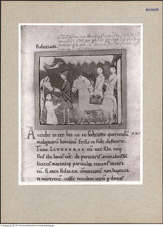 Vorderseite von bh117309_recto