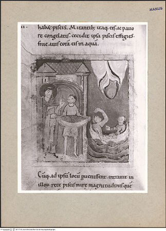 Vorderseite von bh117318_recto