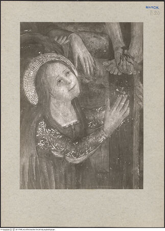 Vorderseite von bh117488_recto