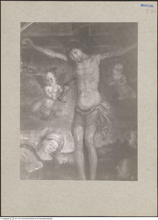 Vorderseite von bh117491_recto