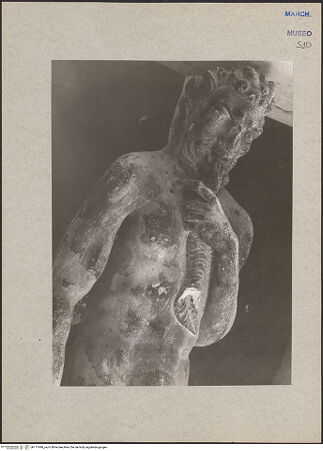 Vorderseite von bh117499_recto