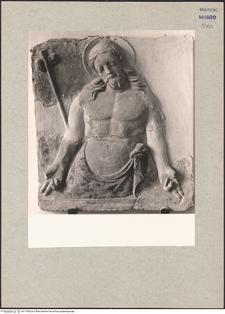 Vorderseite von bh117509_recto