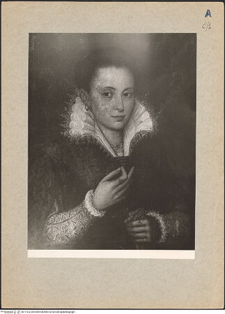 Vorderseite von bh117533_recto