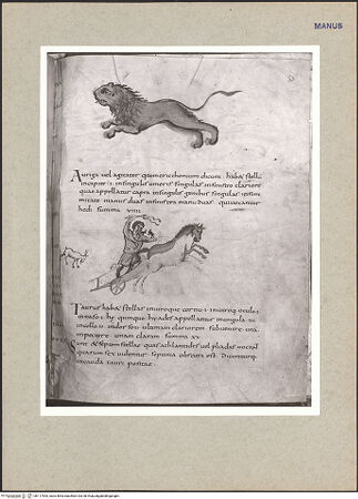 Vorderseite von bh117543_recto