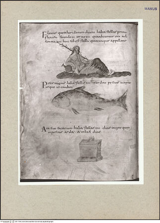 Vorderseite von bh117545_recto