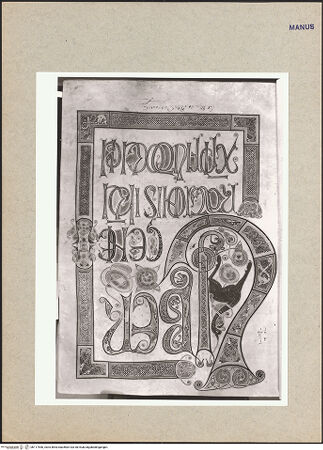 Vorderseite von bh117550_recto