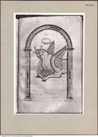 Vorderseite von bh117576_recto