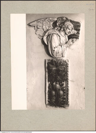 Vorderseite von bh117666_recto