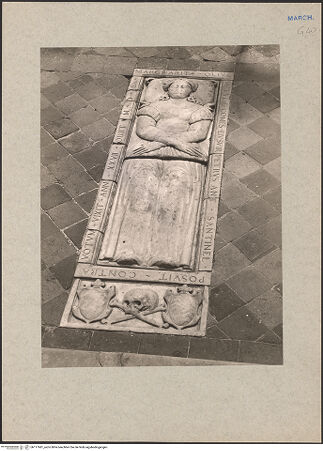 Vorderseite von bh117681_recto