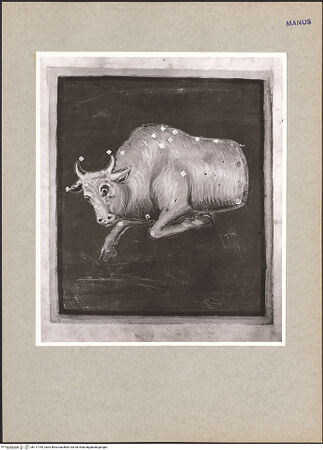 Vorderseite von bh117764_recto