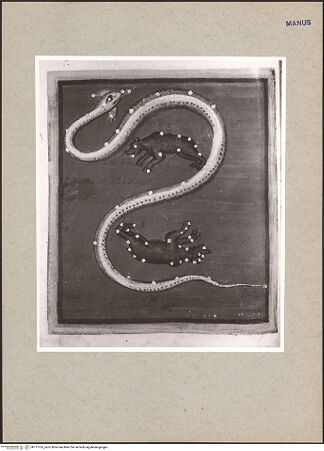 Vorderseite von bh117765_recto