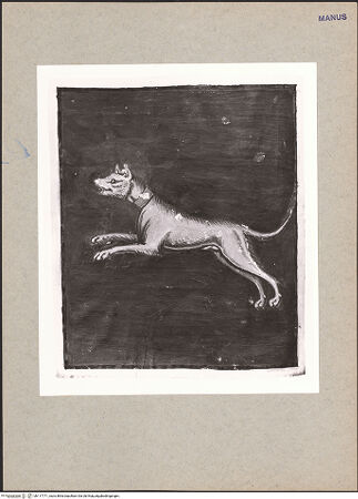 Vorderseite von bh117771_recto