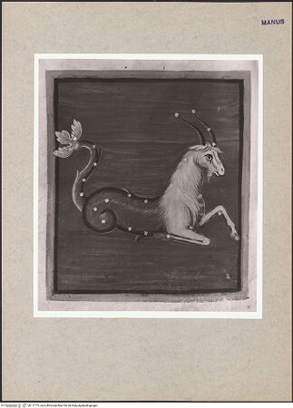 Vorderseite von bh117774_recto