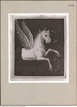 Vorderseite von bh117775_recto