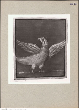 Vorderseite von bh117776_recto