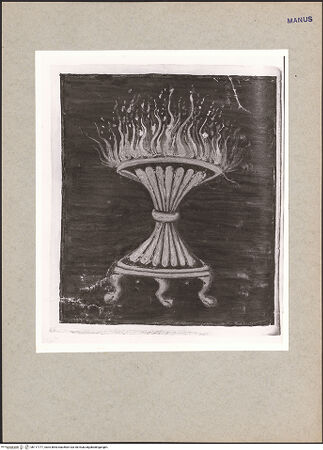 Vorderseite von bh117777_recto