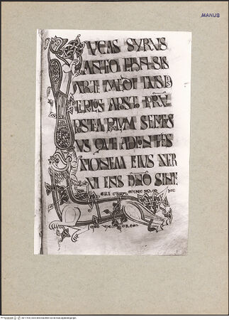 Vorderseite von bh117816_recto