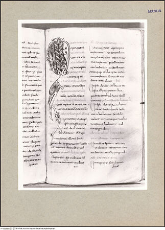 Vorderseite von bh117858_recto