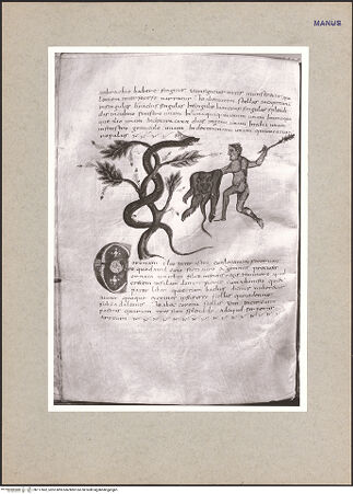 Vorderseite von bh117862_recto