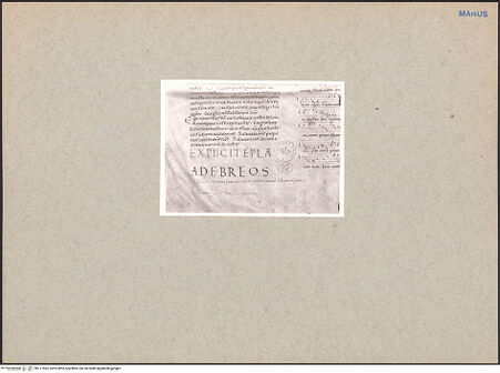 Vorderseite von bh117962_recto