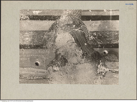 Vorderseite von bh118115_recto