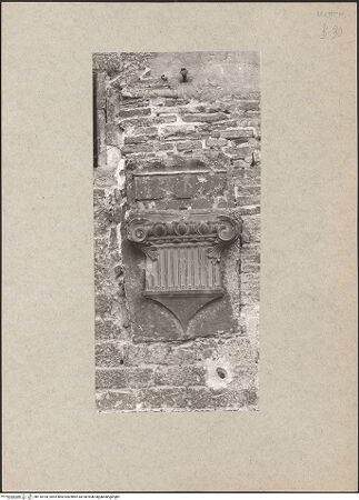 Vorderseite von bh118164_recto