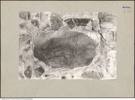 Vorderseite von bh118198_recto